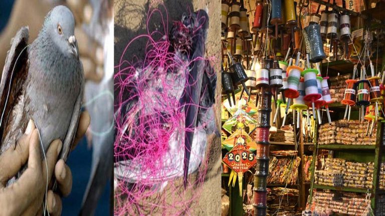 China Manja : “చైనా మాంజా యమ డేంజర్”.. అమ్మితే ఇలా ఫిర్యాదు చేయండి..