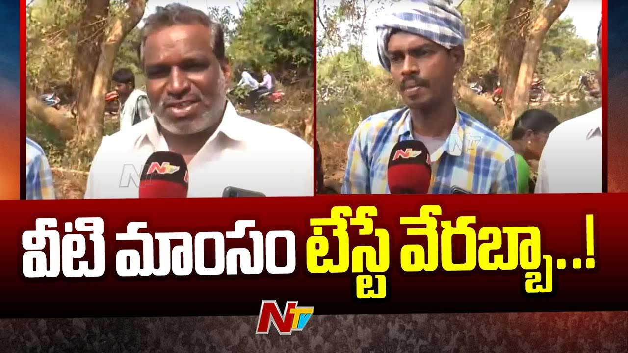 Cockfighting: ఫుల్‌ డిమాండ్.. కోడి పందాల బరుల దగ్గర ఓడిన పుంజుల కోసం క్యూ..!