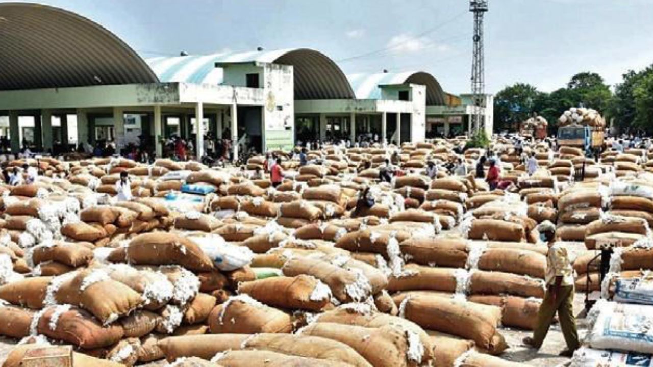 Enumamula Agriculture Market: తెరుచుకున్న వరంగల్ ఎనుమాముల మార్కెట్‌.. పోటెత్తిన తెల్ల బంగారం!