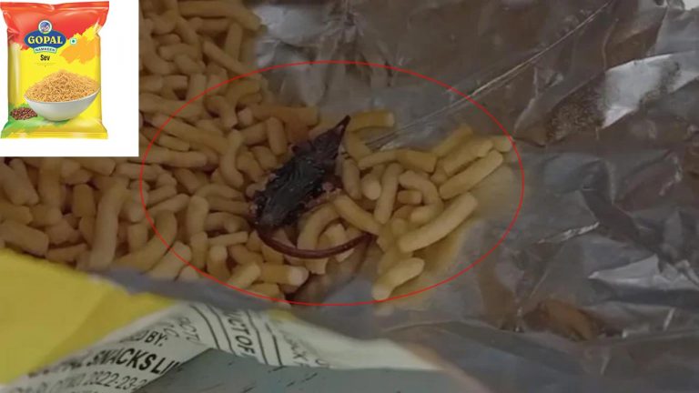 Gujarat: పాపులర్ స్నాక్స్ ప్యాకెట్‌లో చచ్చిన ఎలుక.. తిన్న బాలికకు అస్వస్థత