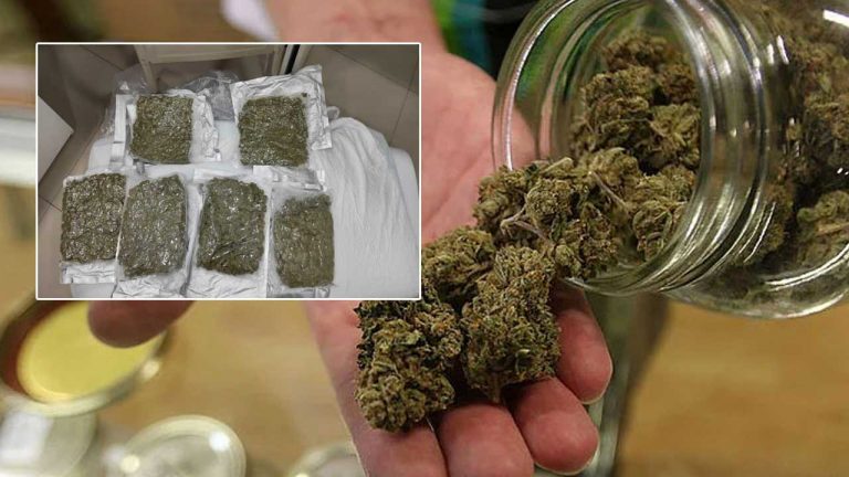 Konaseema District: కోనసీమలో కలకలంరేపుతోన్న గంజాయి..!