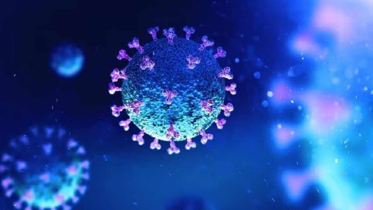 HMPV Virus: భారత్‌లో 6కి చేరిన HMPV కేసులు.. ఎక్కడంటే..