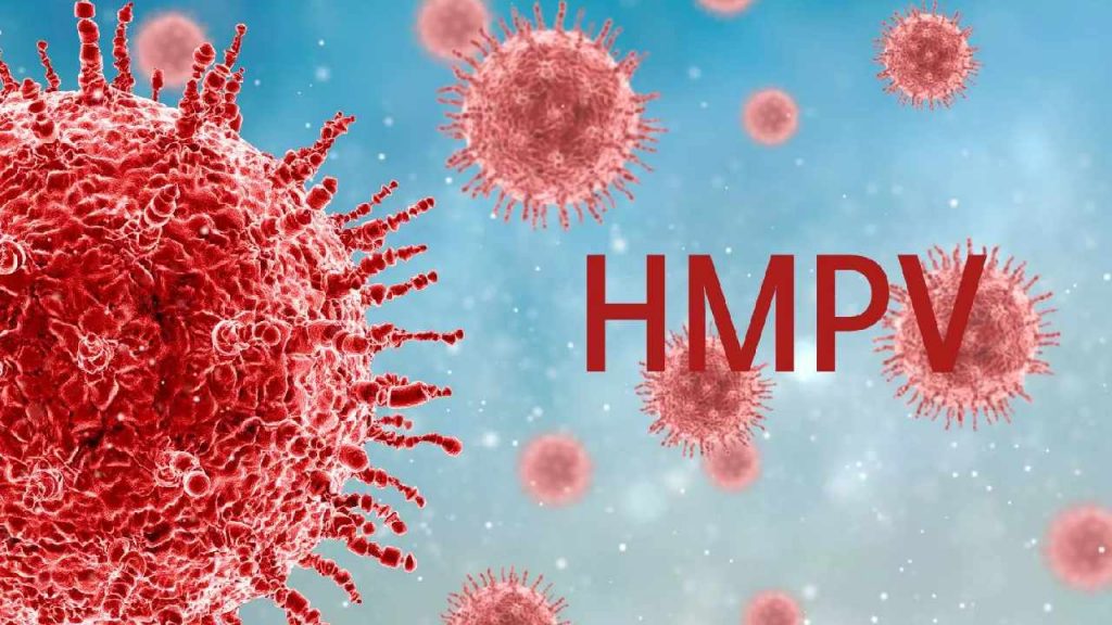 Hmpv Virus