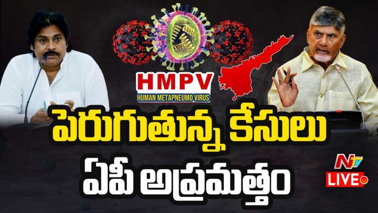 AP Government: HMPVపై ఏపీ సర్కార్‌ అలెర్ట్.. సీఎం చంద్రబాబు టెలీకాన్ఫరెన్స్‌..