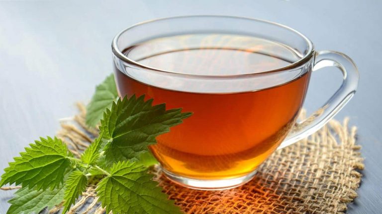 Health: చలికాలంలో పుదీనా టీ అద్భుతాలు!.. లాభాలు తెలిస్తే అస్సలు వదలరు!