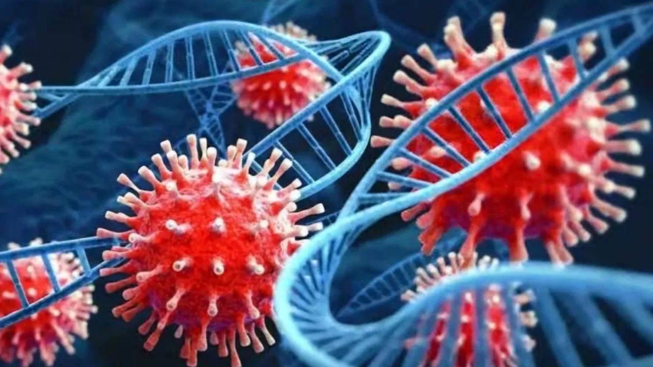 GBS Syndrome : జైపూర్ నుంచి పూణేకు పాకిన కొత్త వ్యాధి.. దీని బారిన పడ్డ ఐదేళ్ల బాలిక