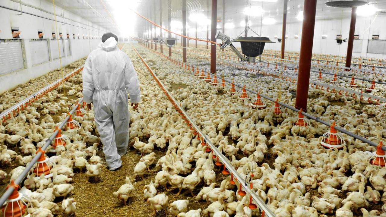 California :  అగ్ని ప్రమాదం తర్వాత కాలిఫోర్నియాలో కరోనా పరిస్థితులు