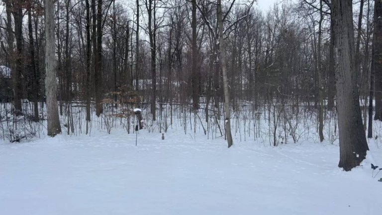 America : చలిగాలులు, హిమపాతం కారణంగా మారిన ట్రంప్ ప్రమాణ స్వీకార షెడ్యూల్