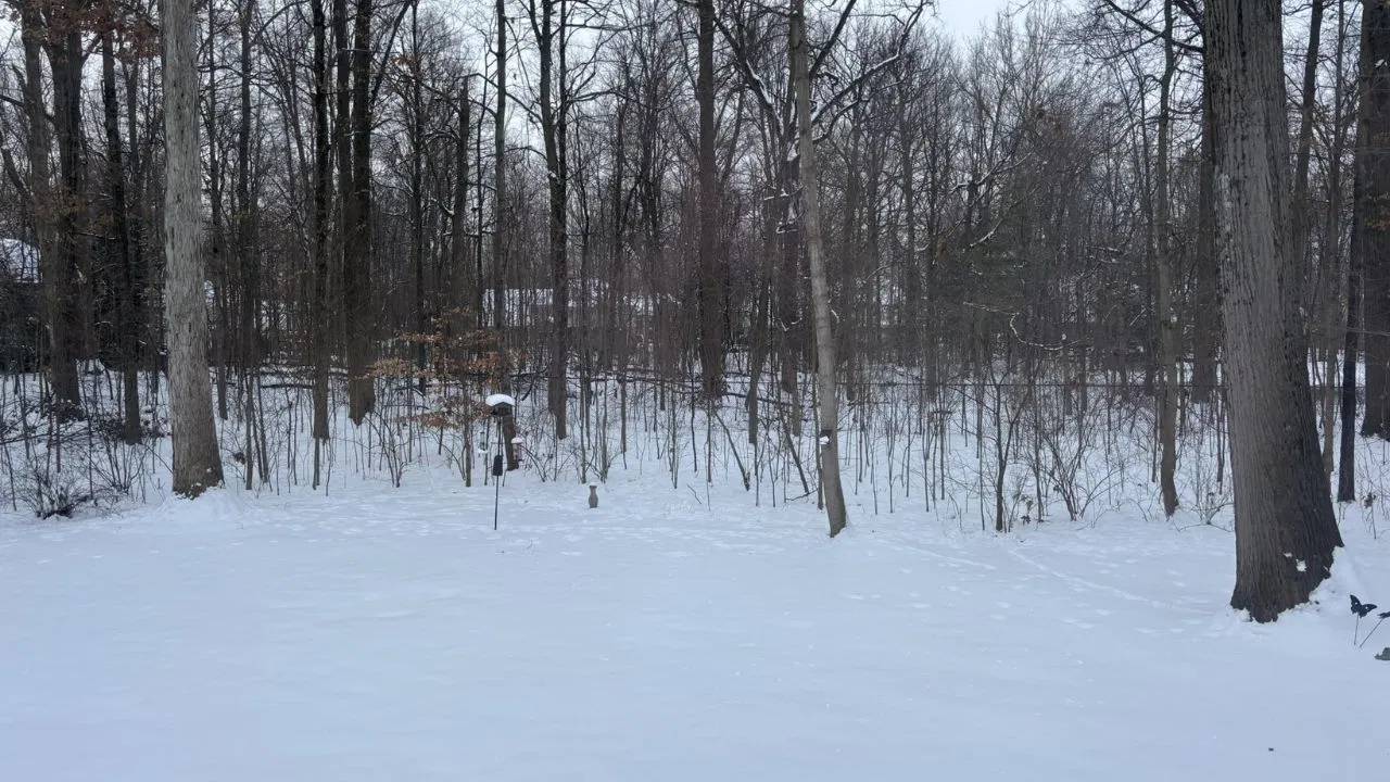 America : చలిగాలులు, హిమపాతం కారణంగా మారిన ట్రంప్ ప్రమాణ స్వీకార షెడ్యూల్