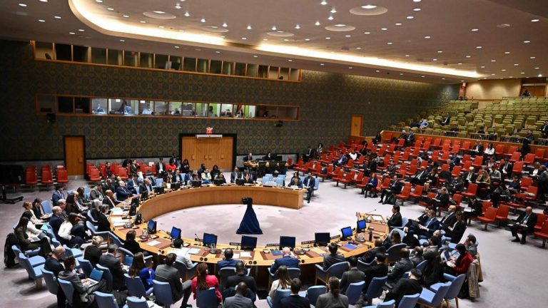 Pakistan: ఐక్యరాజ్యసమితి భద్రతా మండలిలో తాత్కాలిక సభ్యదేశంగా పాక్..