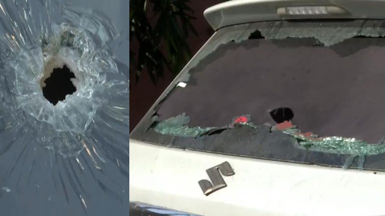 UP: యూపీలో ఎన్‌కౌంటర్.. నలుగురు దుండగులు హతం