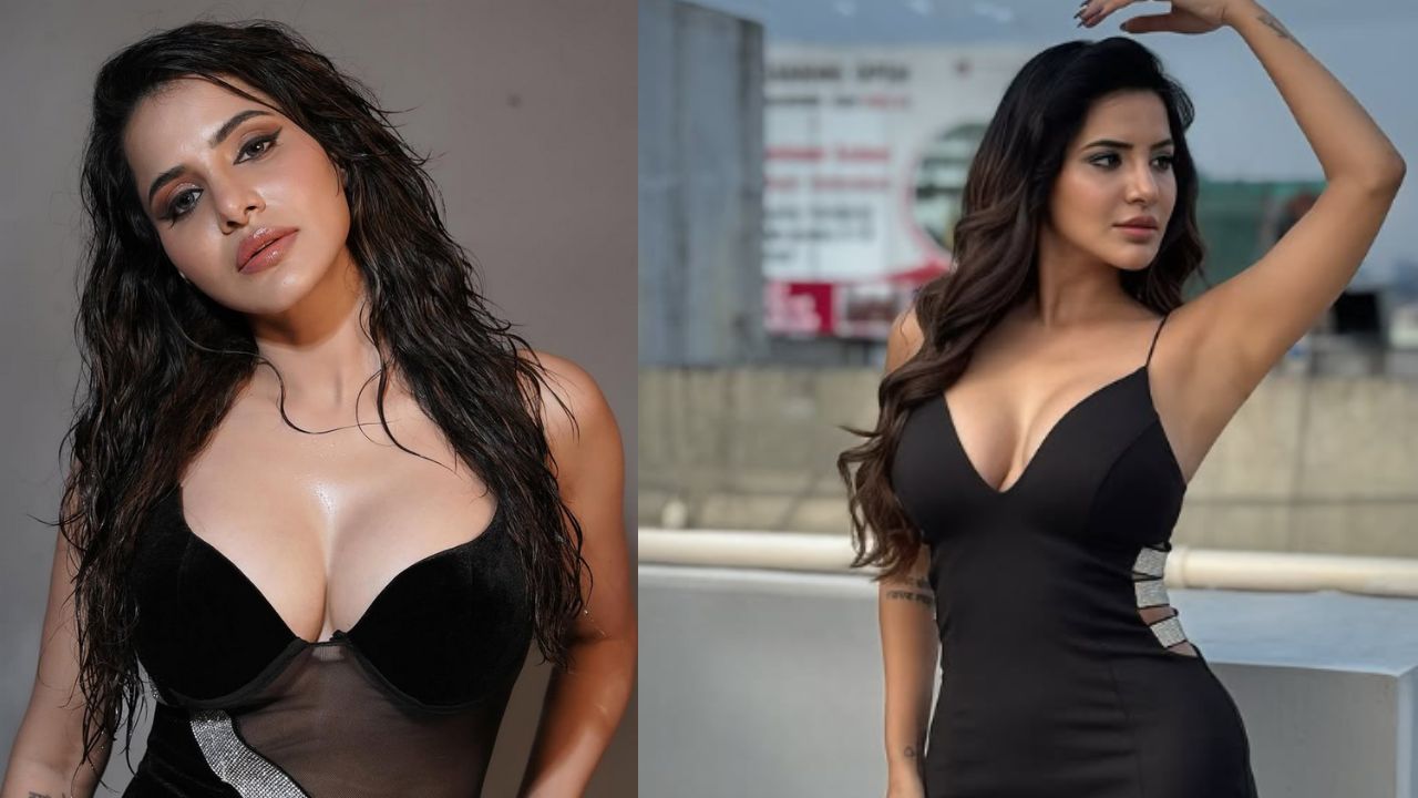 Ashu Reddy: 9.5 కోట్ల చీటింగ్ కేసు.. మీడియా ముందుకు అషు రెడ్డి?