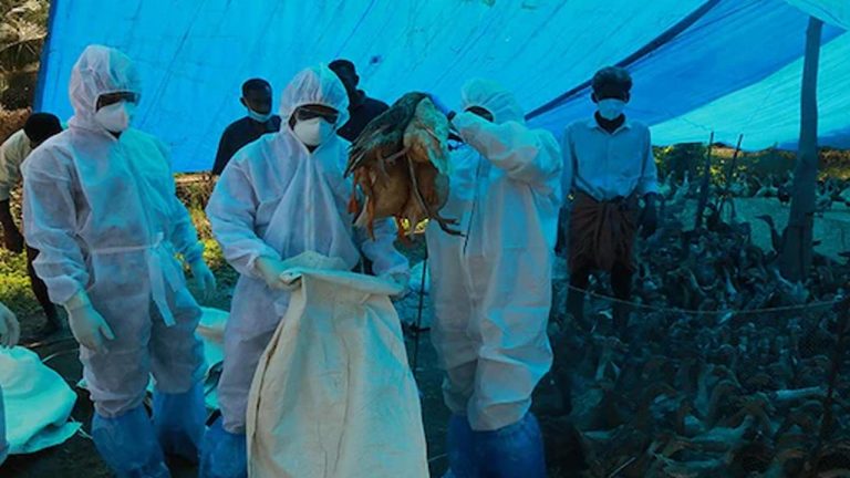 Bird Flu: అమెరికాలో కలకలం రేపుతున్న తొలి బర్డ్‌ ఫ్లూ మరణం..