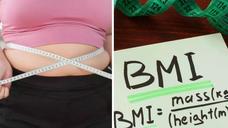 BMI: బాడీ మాస్ ఇండెక్స్ ఎక్కువైతే జాగ్రత్త.. ఊబకాయం వచ్చే ప్రమాదం