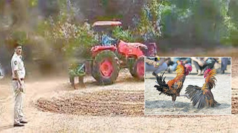 Andhra Pradesh: కోడిపందాలపై పోలీసుల కొరడా.. బరులు ఎక్కడికక్కడ ధ్వంసం..!