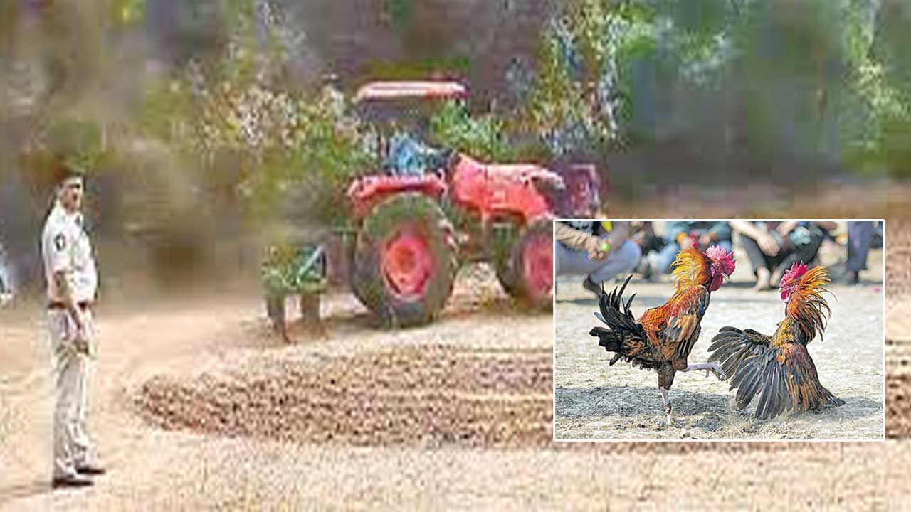 Andhra Pradesh: కోడిపందాలపై పోలీసుల కొరడా.. బరులు ఎక్కడికక్కడ ధ్వంసం..!