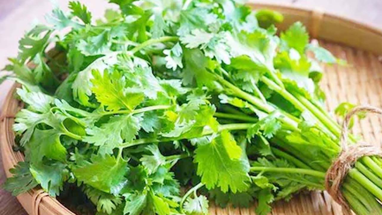 Health Tips: కొత్తిమీరలో బోలెడన్ని ఆరోగ్య ప్రయోజనాలు.. తింటే ఆ రోగాలన్నీ మాయం!