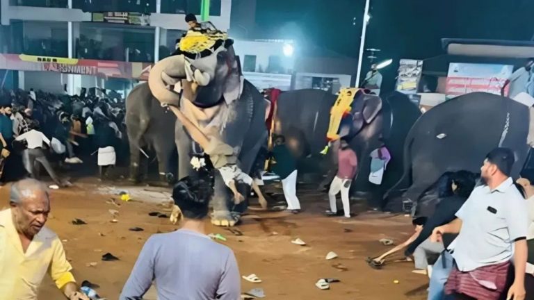 Aggressive Elephant: ఉత్సవాల ఊరేగింపులో రెచ్చిపోయిన గజరాజు