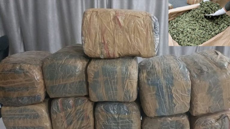 Breaking News: హైదరాబాద్‌ నగరంలో మరోమారు భారీగా గంజాయి స్వాధీనం చేసుకున్న టాస్క్ ఫోర్స్ పోలీసులు