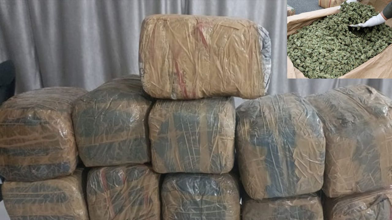 Breaking News: హైదరాబాద్‌ నగరంలో మరోమారు భారీగా గంజాయి స్వాధీనం చేసుకున్న టాస్క్ ఫోర్స్ పోలీసులు