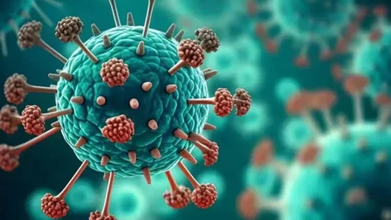 HMPV Virus: భారత్‌లోకి ఎంట్రీ ఇచ్చిన చైనా కొత్త వైరస్.. 8 ఏళ్ల చిన్నారికి నిర్ధారణ
