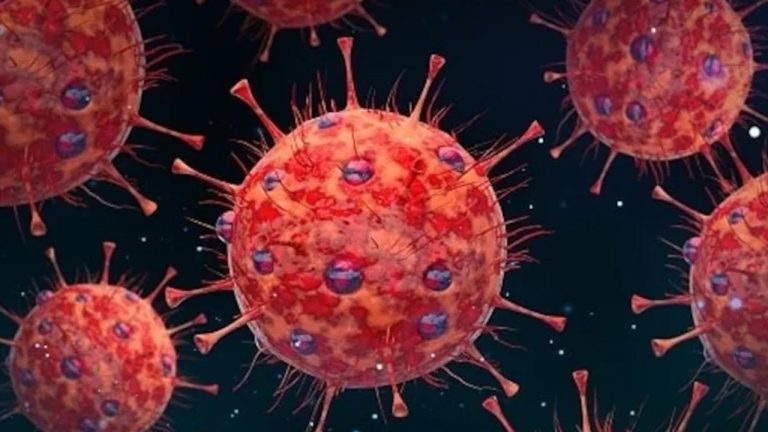 HMPV Virus: మహారాష్ట్ర మరో రెండు హెచ్‌ఎంపీవీ కేసులు.. భారత్‌లో మొత్తం ఎన్నాంటే..?