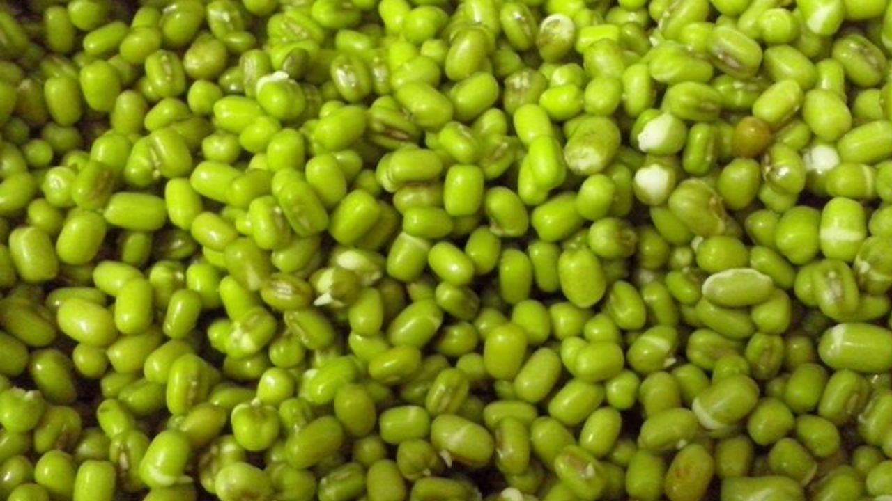 Moong Dal: ఉడికించిన పెసలు తింటే ఇన్ని ప్రయోజనాలా!