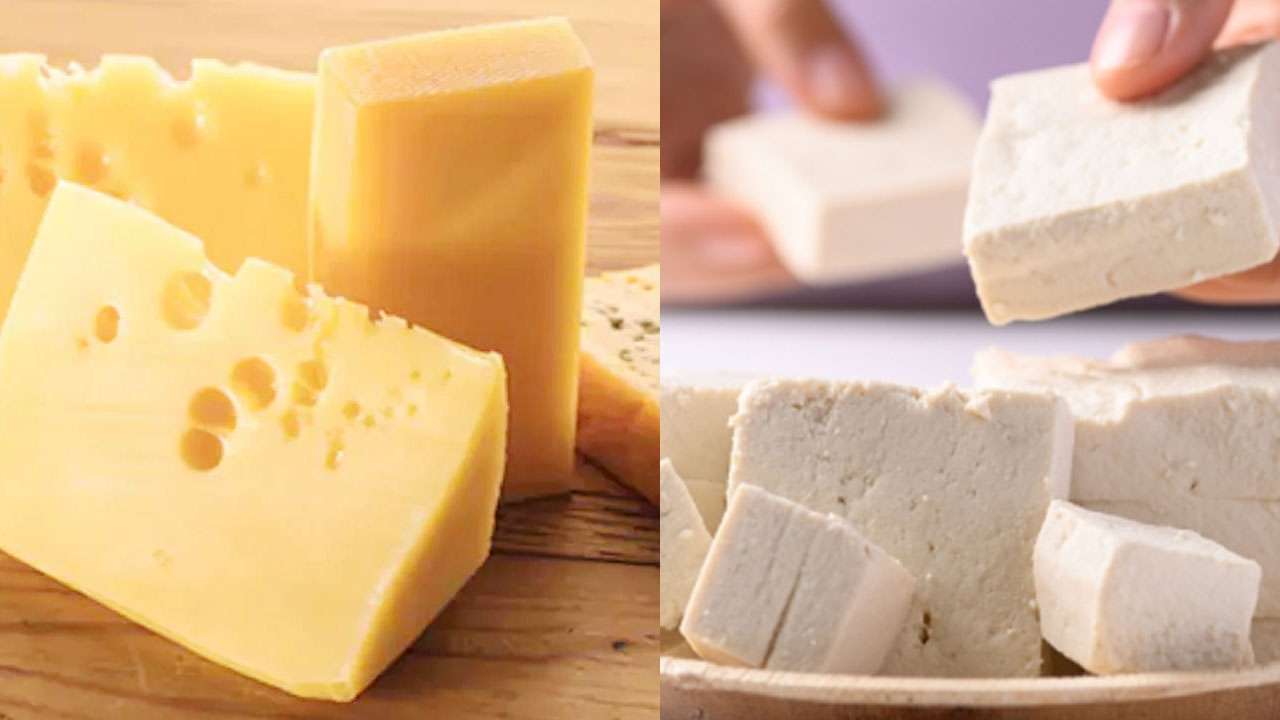 Health Tips: బరువు తగ్గాలనుకుంటున్నారా? జున్ను vs టోఫు రెండింట్లో బెస్ట్ ఏదో తెలుసా?