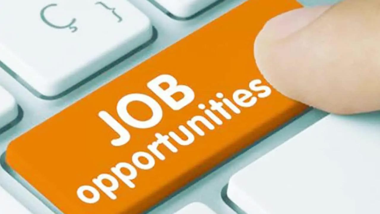 IOB Recruitment 2025: ఇండియన్ ఓవర్సీస్ బ్యాంక్‌లో 750 జాబ్స్.. మంచి జీతం.. మిస్ చేసుకోకండి