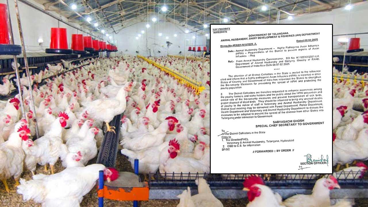 Bird Flu Tension: కోళ్లకు వైరస్‌.. కలెక్టర్లకు ప్రభుత్వం కీలక ఆదేశాలు