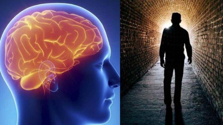 Human Brain: మనిషి చనిపోయే ముందు “మెదడు”లో ఏం జరుగుతుంది.. షాకింగ్ రిజల్ట్స్..