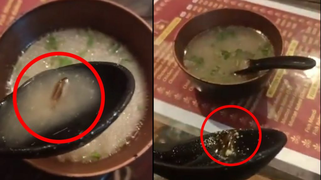 Cockroach In Mutton Soup