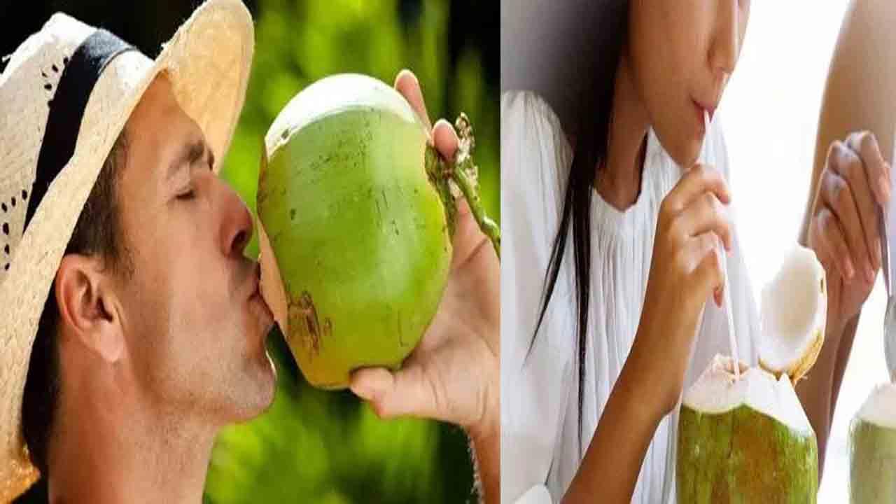 Coconut Water: కొబ్బరి నీళ్లు తాగడం వల్ల సైడ్ ఎఫెక్ట్స్ ఉన్నాయని మీకు తెలుసా..?