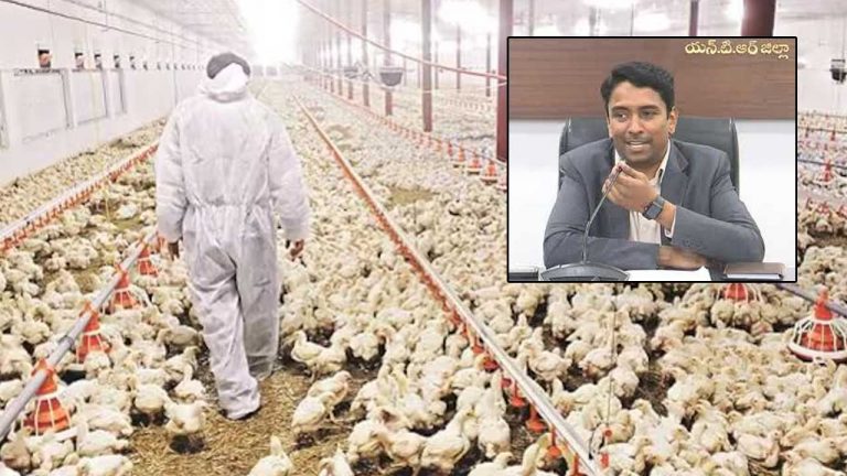 Bird Flu: బర్డ్ ఫ్లూ ఎఫెక్ట్‌.. కోళ్ల ఫారాల్లో తనిఖీలకు కలెక్టర్‌ ఆదేశాలు..