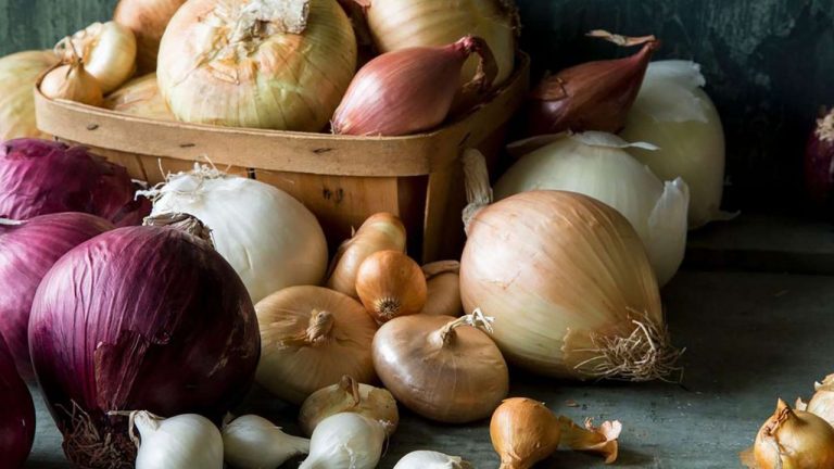 White onion, red onion: తెల్ల ఉల్లిపాయ, ఎర్ర ఉల్లిపాయ..ఆరోగ్యానికి ఏది మంచిదో తెలుసా !