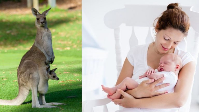 benefits your baby: కంగారూ లాగా మీ పిల్లల్ని హత్తుకొని ఉండటం వల్ల చాలా లాభాలు ఉన్నాయి..