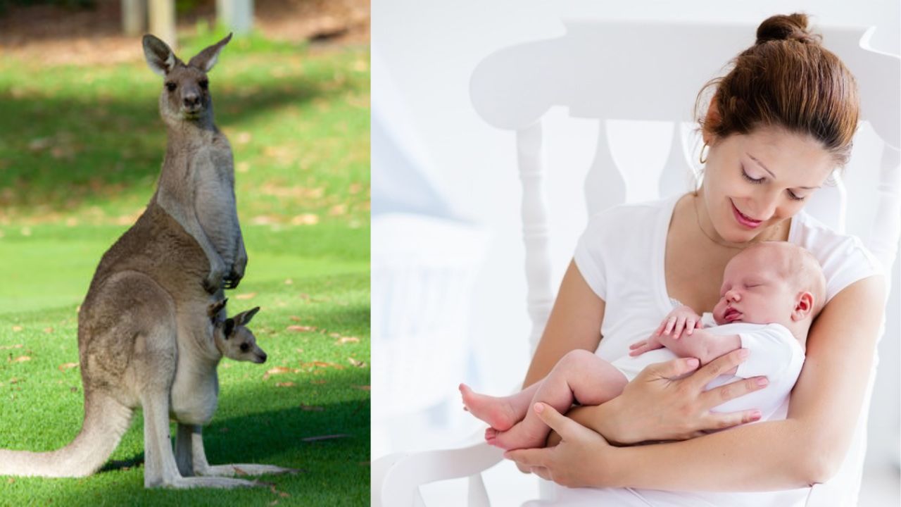 benefits your baby: కంగారూ లాగా మీ పిల్లల్ని హత్తుకొని ఉండటం వల్ల చాలా లాభాలు ఉన్నాయి..