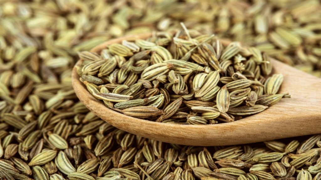 Fennel Seeds