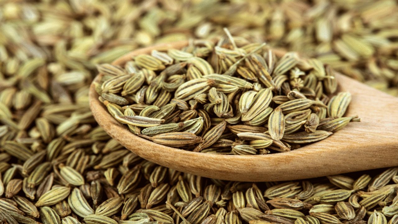 Fennel Seeds: భోజనం తర్వాత సోంపు నమలడం వల్ల ఎన్ని ఆరోగ్య ప్రయోజనాలంటే!