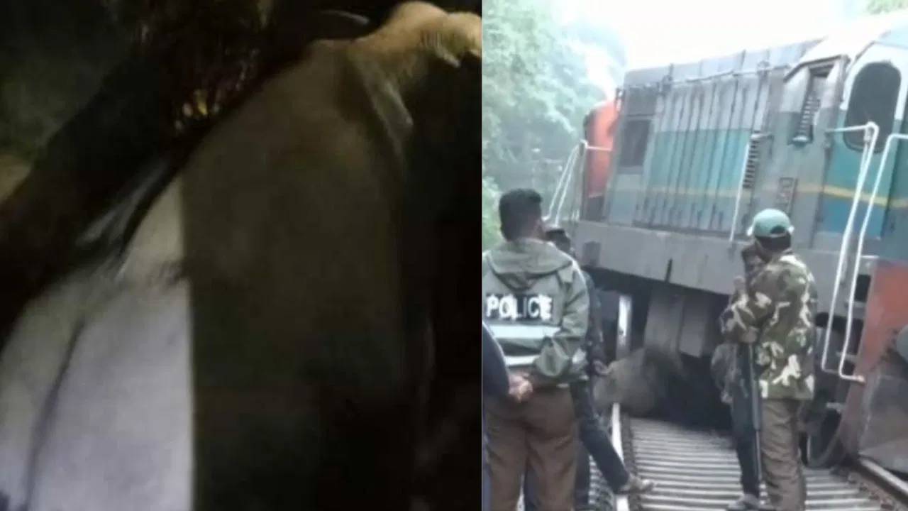 Elephants : రైలు ఢీకొని ఆరు ఏనుగులు మృతి… ప్రతి ఏడాది ఇలా ఎన్ని చనిపోతున్నాయంటే ?