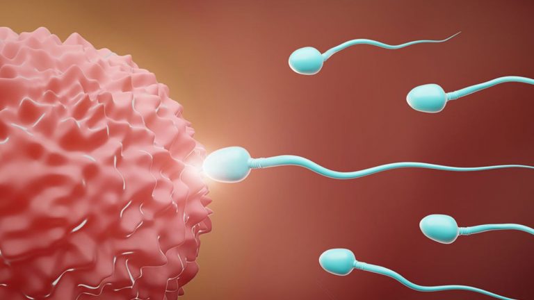 Sperm Count: వీటిని తీసుకోవడం ఆపకపోతే స్పెర్మ్ కౌంట్ తగ్గడం గ్యారెంటీ.. జాగ్రత్త సుమీ