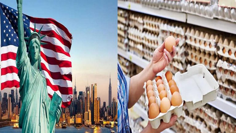 Bird Flu Outbreak In US: బర్డ్‌ఫ్లూ దెబ్బకి.. అగ్రరాజ్యంలో కొండెక్కిన కోడిగుడ్డు ధర