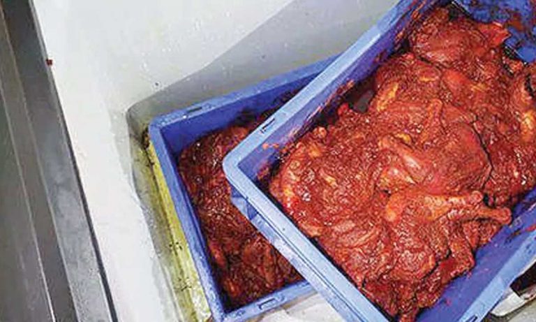 Arabian Mandi : ఫ్రిడ్జ్‌లో బొద్దింకలు.. అపరిశుభ్రంగా కిచెన్ పరిసరాలు.. తనిఖీల్లో బయటపడ్డ బాగోతం