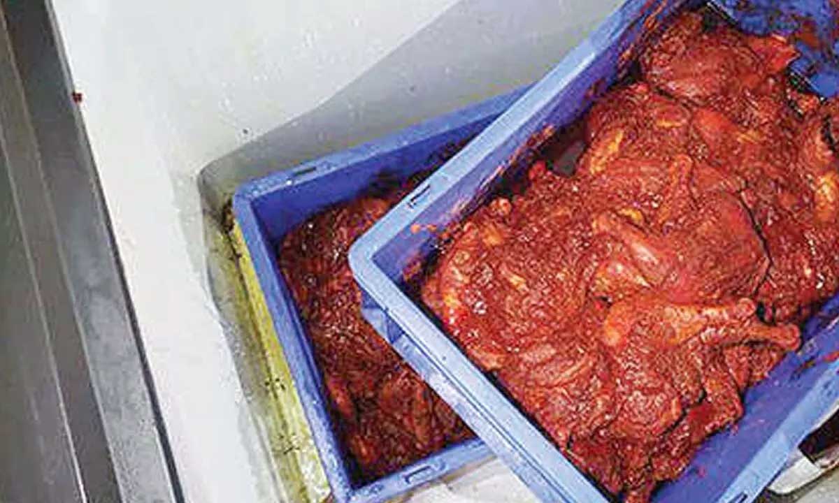 Arabian Mandi : ఫ్రిడ్జ్‌లో బొద్దింకలు.. అపరిశుభ్రంగా కిచెన్ పరిసరాలు.. తనిఖీల్లో బయటపడ్డ బాగోతం