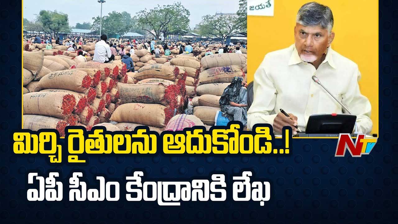 CM Chandrababu: కేంద్రానికి సీఎం చంద్రబాబు లేఖ.. మిర్చి రైతులను ఆదుకోండి..