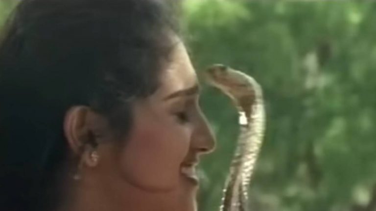 Devi Movie :  ‘దేవి’లో పాము కాటుకు వ్యక్తి బలి.. షాకింగ్ విషయం బయటపెట్టిన డైరెక్టర్