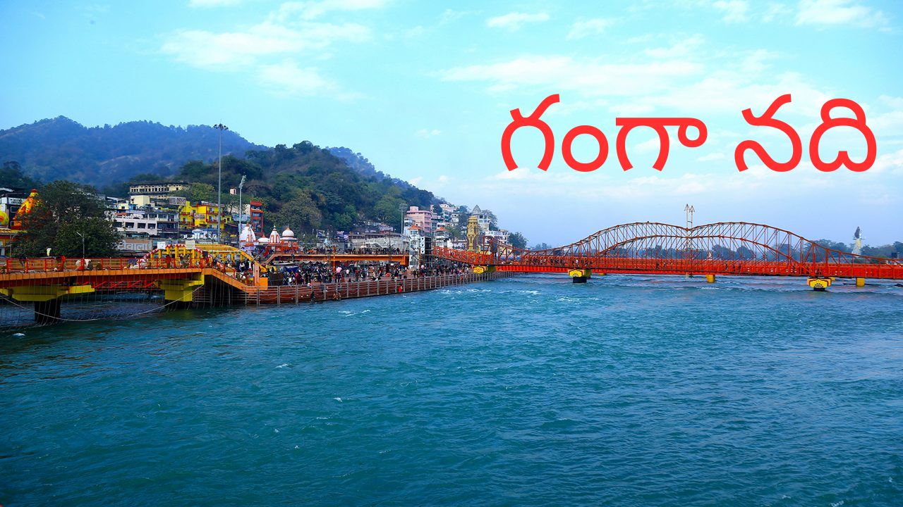 Ganga River: గంగా నదికి ప్రకృతి వరం.. నీటి స్వచ్ఛతను కాపాడేందుకు సహజంగా 1,100 రకాల బ్యాక్టీరియోఫేజ్‌లు