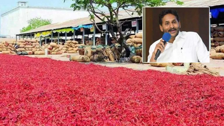 Ambati Rambabu: రేపు గుంటూరు మిర్చి యార్డ్‌కు వైఎస్‌ జగన్‌.. కీలక వ్యాఖ్యలు చేసిన అంబటి