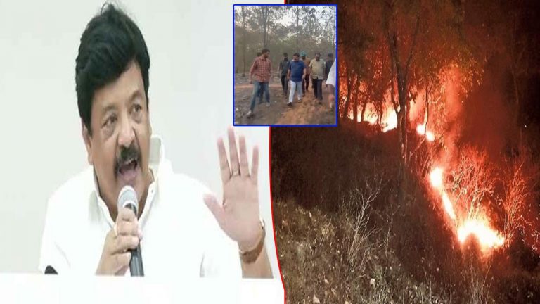 Fire Accident At Forest: రాజమండ్రి సమీపంలోని రిజర్వ్ ఫారెస్టులో అగ్నిప్రమాదం.. ఘటనపై మంత్రి దుర్గేష్ ఆరా!