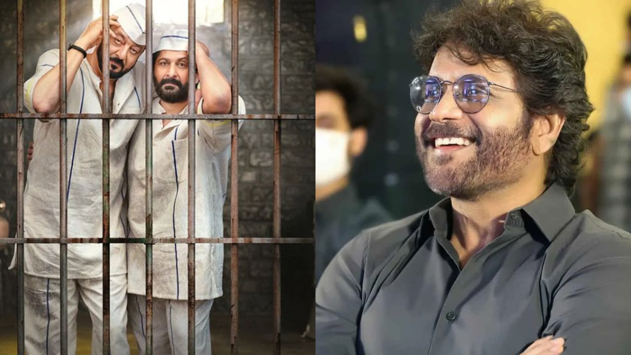 Munna Bhai: మున్నా భాయ్ 3లో నాగార్జున..?